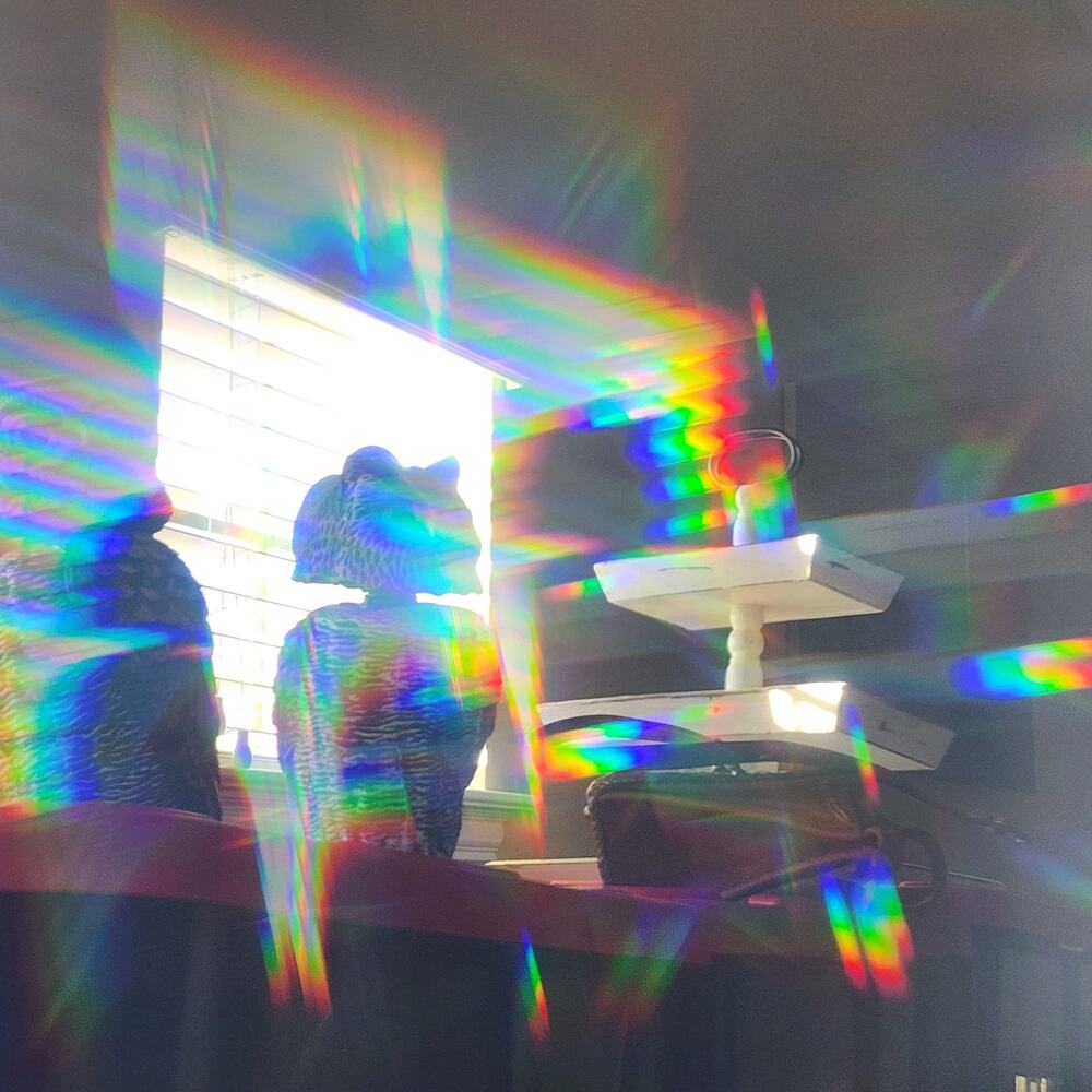 Diffraction Glasses - Picture 4 of 4